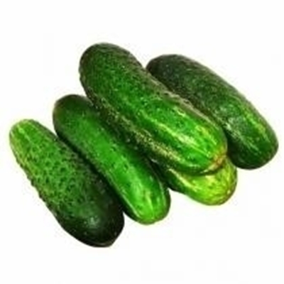 Picture of Fresh Cucumber LAUKU (LV) BOX*12KG £/kg
