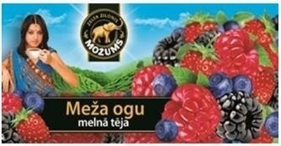 Picture of Tea Mozums forest fruits 20*1,5g