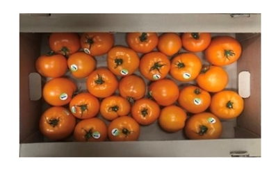 Picture of Tomatoes Yellow , 8kg