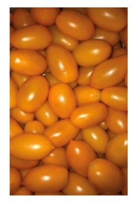 Picture of Tomatoes Yellow plume (box*9) £/kg