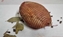 Picture of PR BOSTON BUTCHERS - H/S pork ham ± 1kg £/kg (One Week Pre Order)