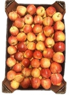 Picture of DIPP-FRUCT - Apples GALA ROYAL MOLDOVA (box*14)