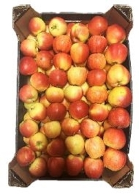 Picture of DIPP-FRUCT - Apples GALA MAST MOLDOVA (box*14)